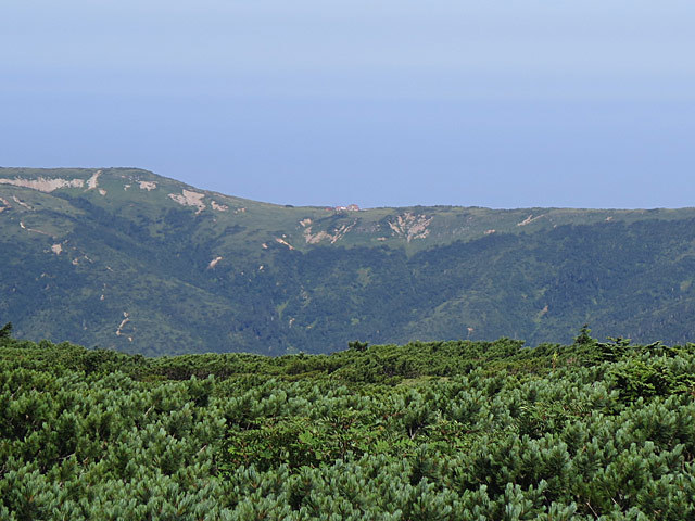 c0116856_20495161.jpg