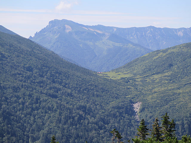 c0116856_20495506.jpg
