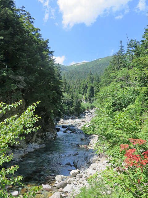 c0116856_20500519.jpg