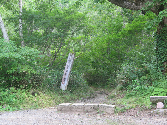 c0116856_20501945.jpg