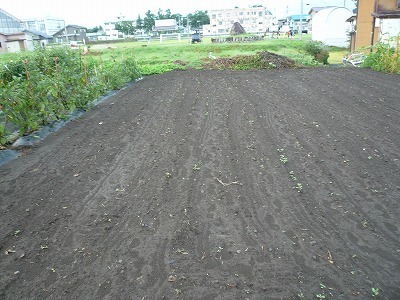 d0074063_07360621.jpg