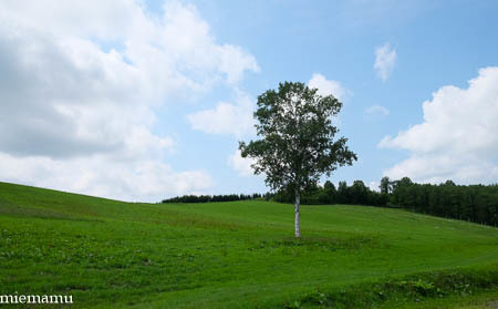 d0340565_20144195.jpg