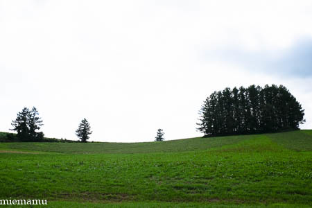d0340565_20145238.jpg