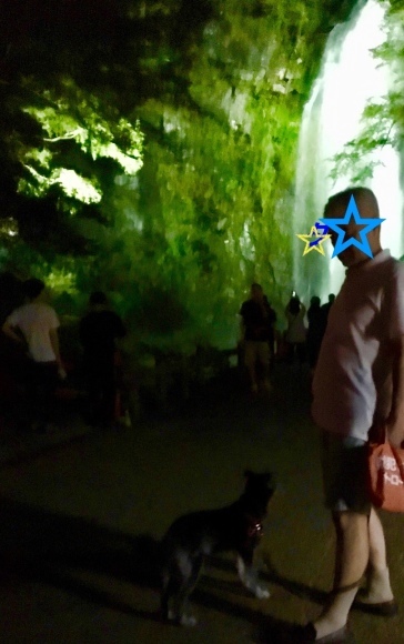 f0389169_23260469.jpeg