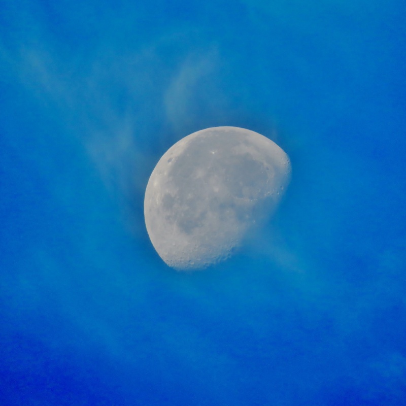 c0183777_7524664.jpg