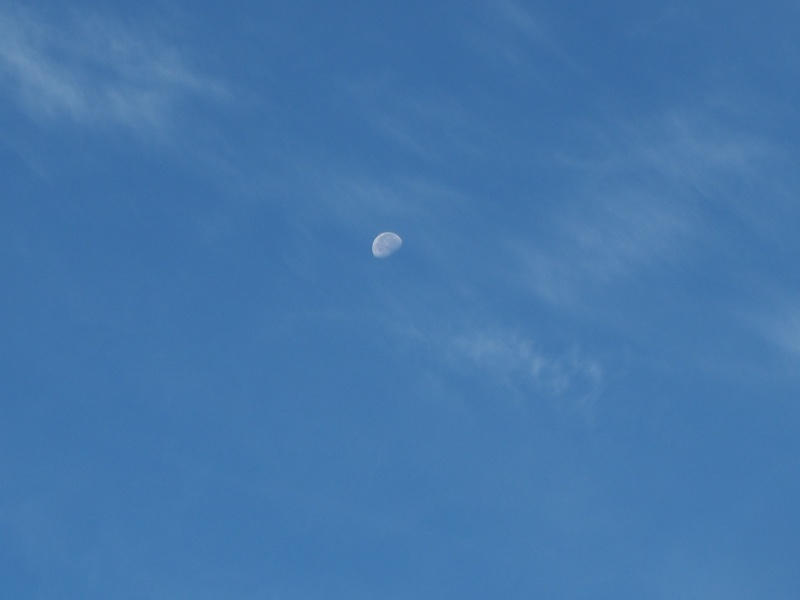 c0183777_7525921.jpg