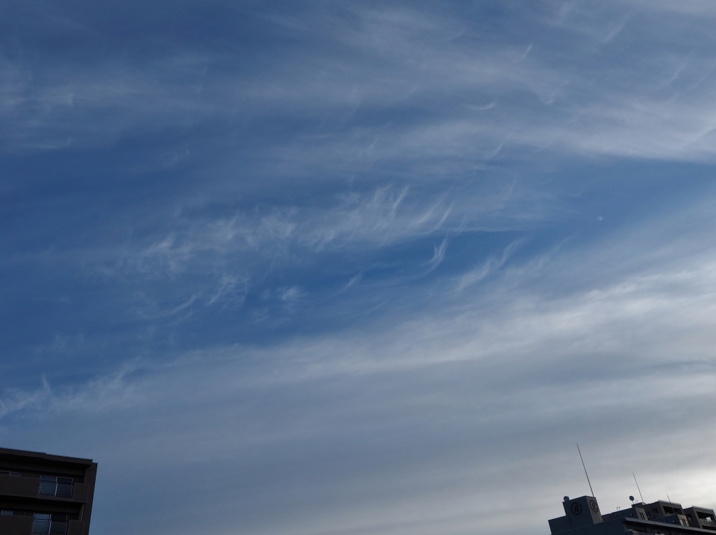 c0183777_8392229.jpg