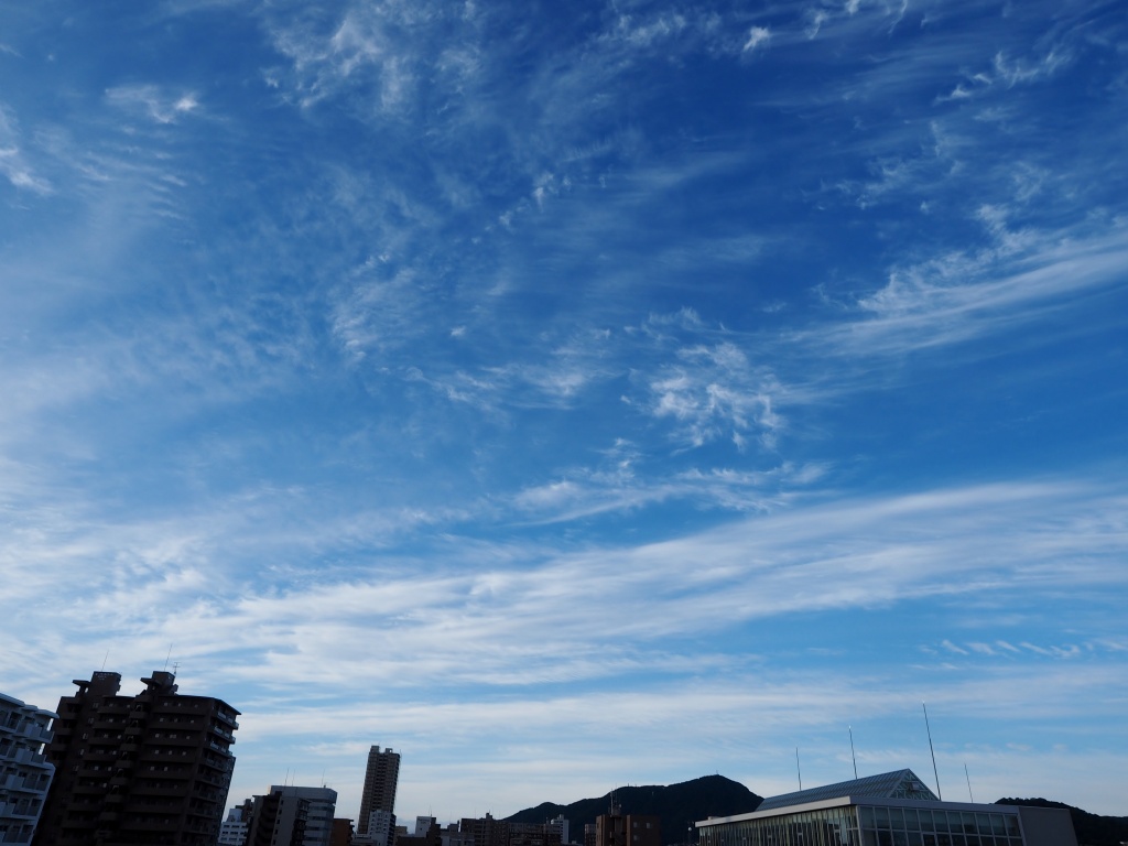 c0183777_8393674.jpg