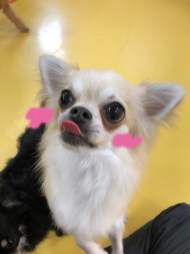 はい!チ~ズ📸_f0357682_23390072.jpg