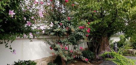 c0229483_1124198.jpg
