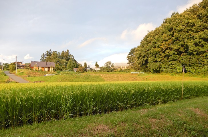 夏のひと時^^_a0211886_14430401.jpg