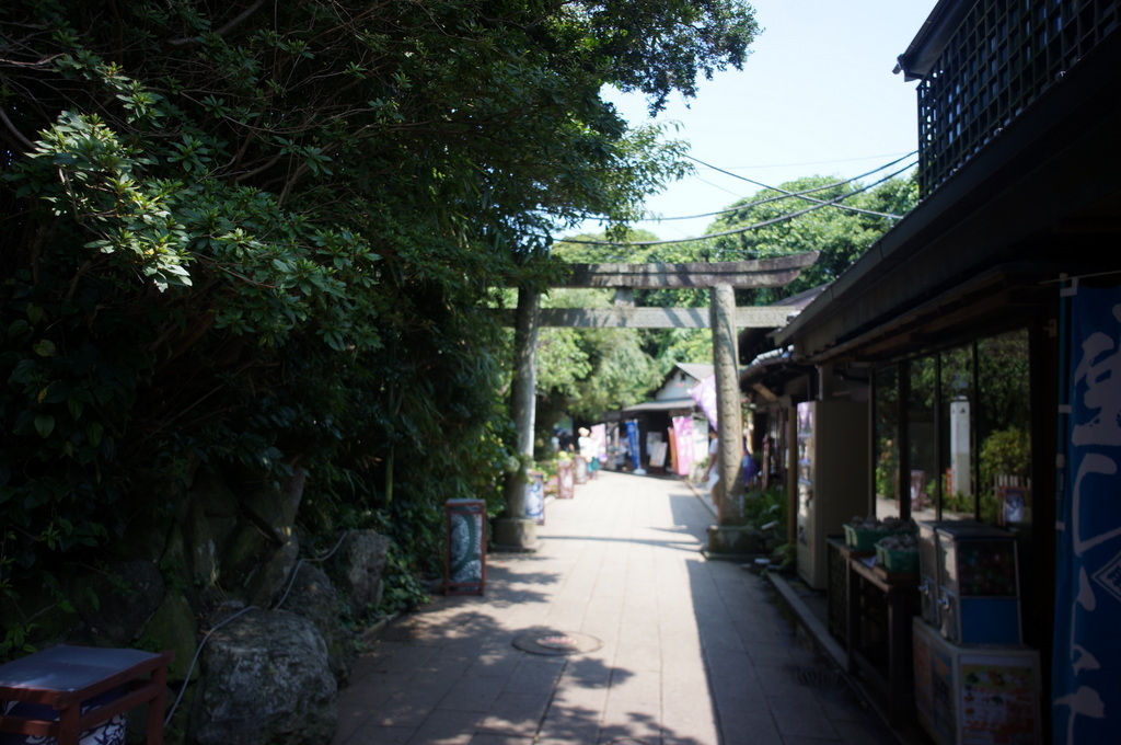 富士見亭へ。うん? 7/30_c0180686_01325816.jpg
