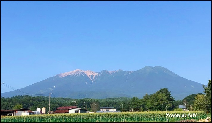 オトンと仲間たち_d0140490_10172837.jpg