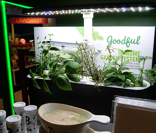 『室内で新鮮な野菜やハーブを育てる』のは世界的なトレンドかも?_b0007805_04484676.jpg