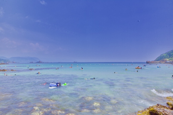 夏休み家族旅行 伊豆半島 世話要らずの庭
