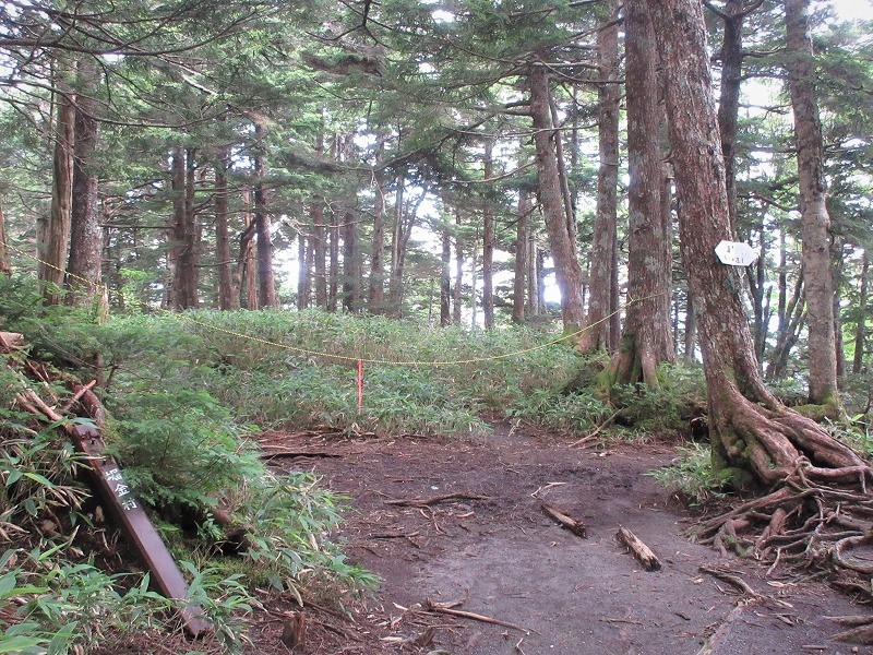 中部山岳　三股から登る蝶ヶ岳と常念岳（後編）　　　　　Mount Jōnen in Chūbu-Sangaku National Park_f0308721_17165330.jpg