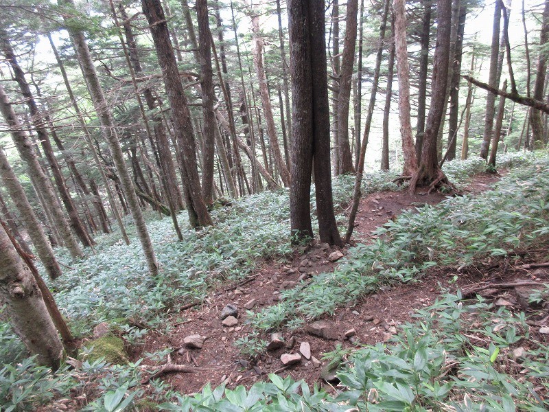 中部山岳　三股から登る蝶ヶ岳と常念岳（後編）　　　　　Mount Jōnen in Chūbu-Sangaku National Park_f0308721_17170210.jpg