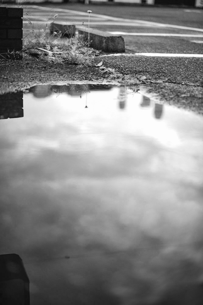 雨上がり_d0265224_21450269.jpg