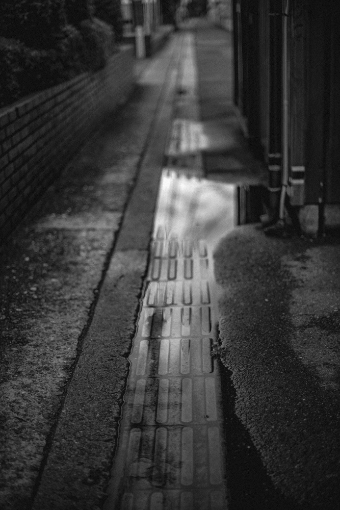 雨上がり_d0265224_21450346.jpg