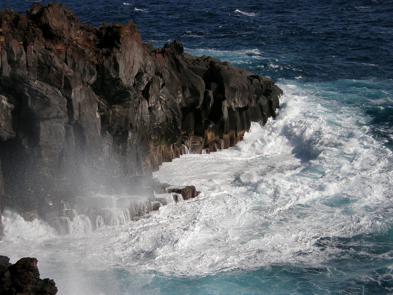 b0162728_803338.jpg