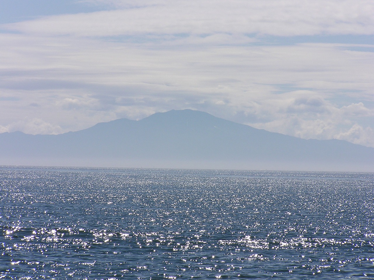 b0162728_80534.jpg