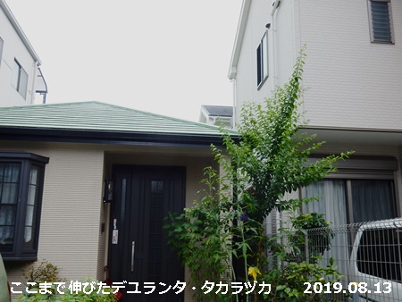 e0033229_1837291.jpg