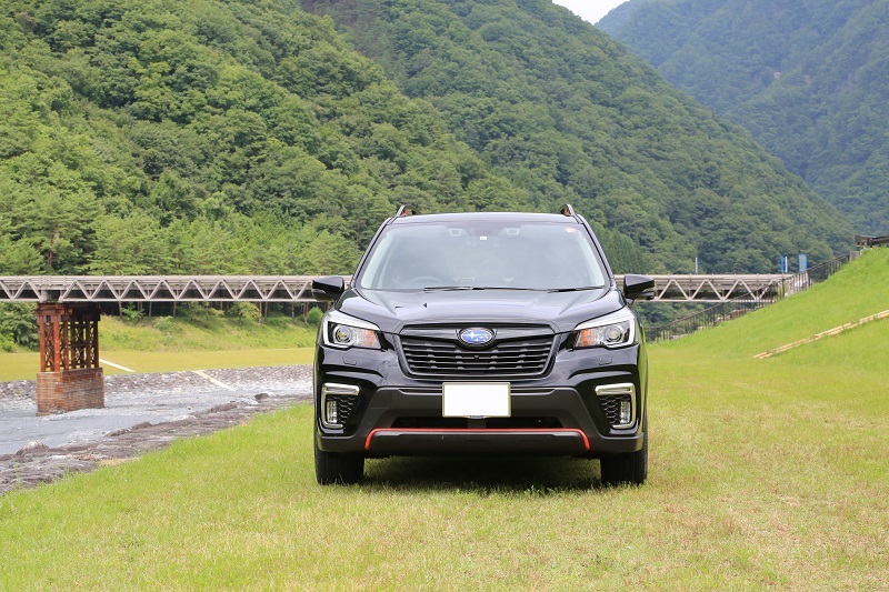 電気自動車とSK9型フォレスター_f0076731_16044479.jpg