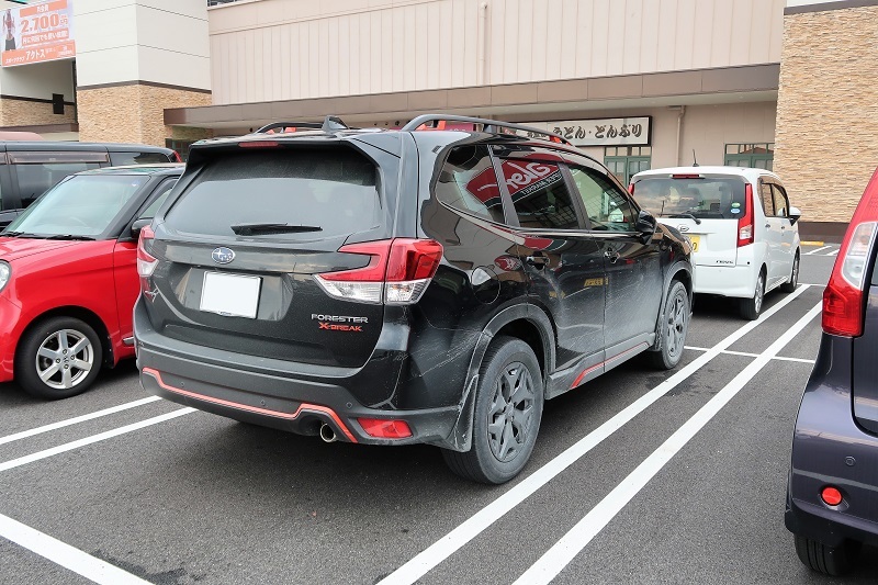 電気自動車とSK9型フォレスター_f0076731_19335256.jpg