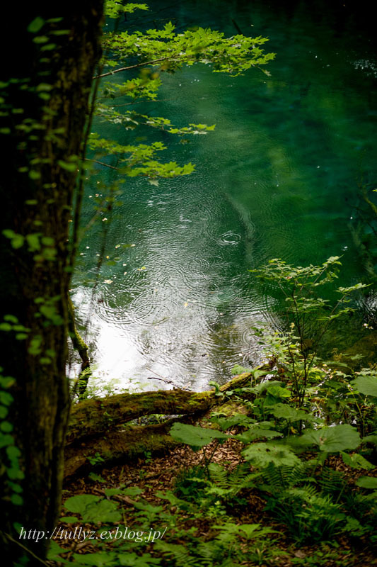 d0108132_11150348.jpg