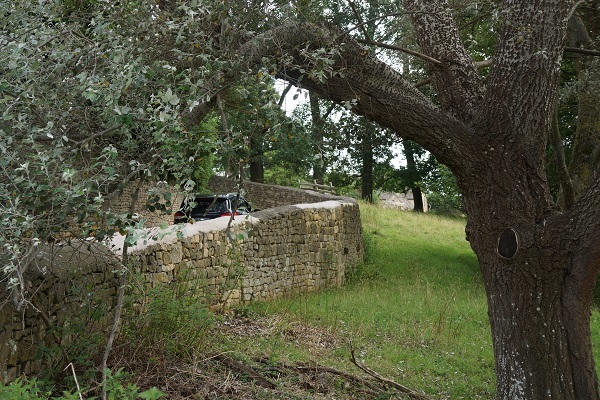 a0129636_18001586.jpg