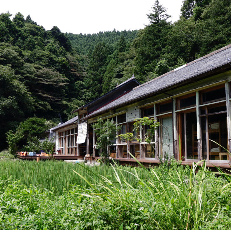 バイオジオフィルター_c0060143_17335268.jpg