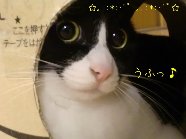 c0259945_13344070.jpg