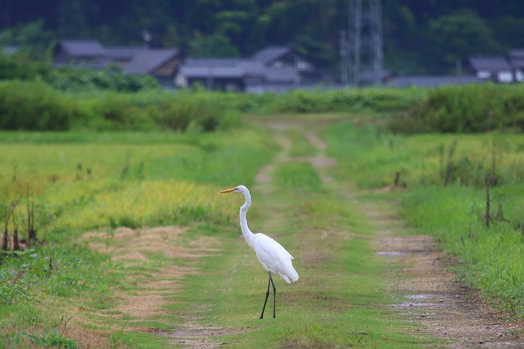 e0403850_12150928.jpg