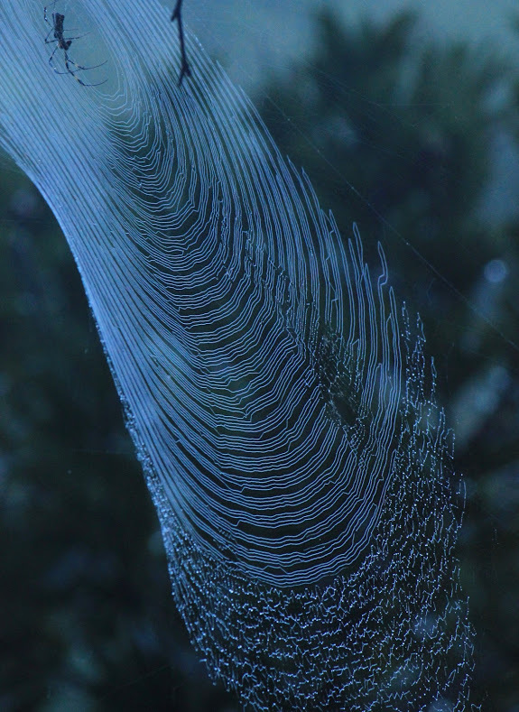 a0248459_13292967.jpg