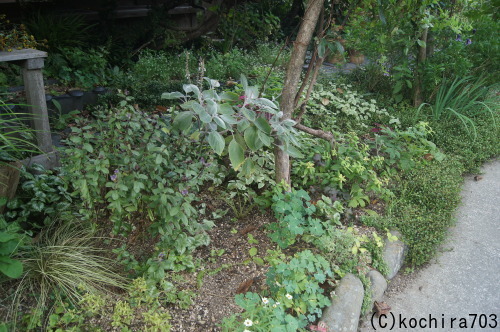 e0181373_20072432.jpg