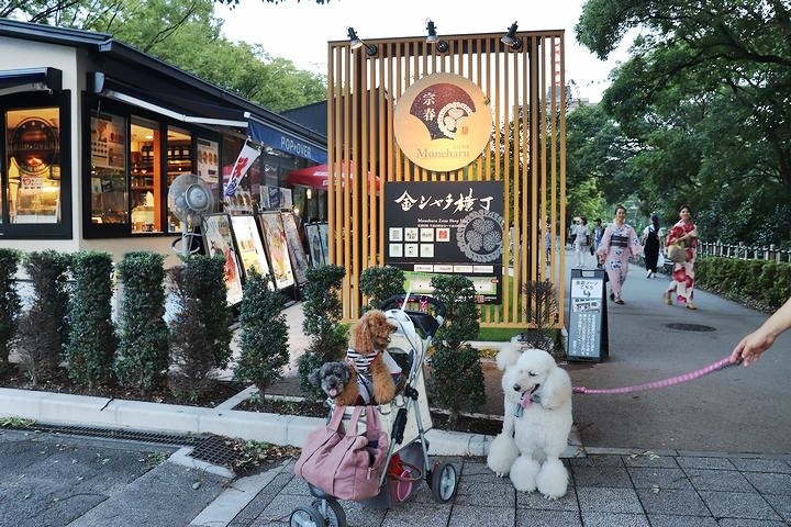 金シャチ横丁と盆踊り。_b0111376_18340592.jpg