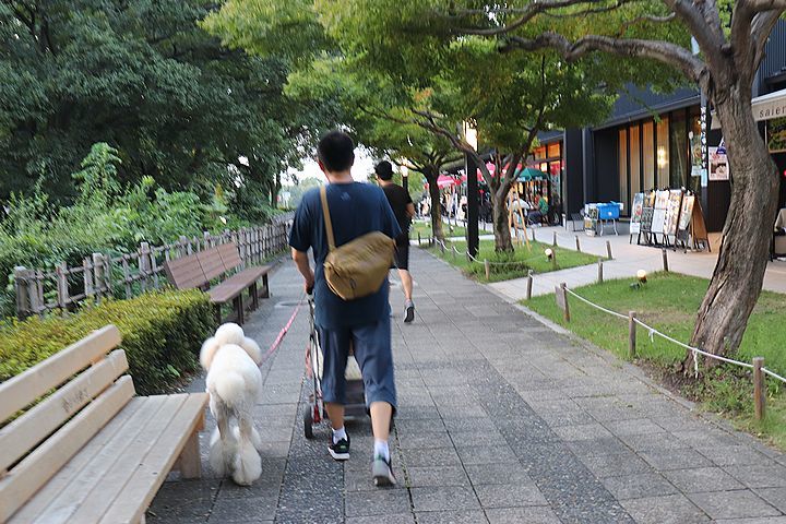 金シャチ横丁と盆踊り。_b0111376_18474615.jpg