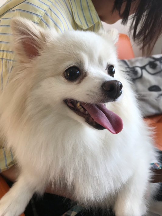 🦷デンタルセミナー報告🦷_c0245679_21215144.jpg