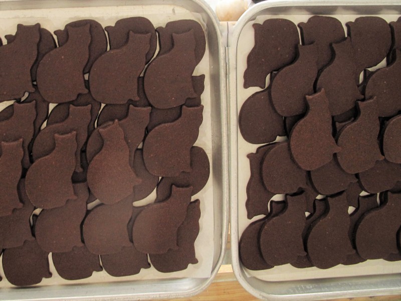 秋よ来い 早く来い うみねこかしや