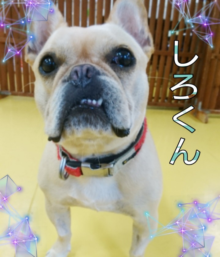 今日も元気いっぱい!_f0357682_13302888.jpg