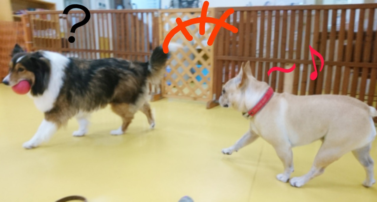 今日も元気いっぱい!_f0357682_13311555.jpg