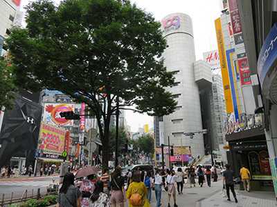 b0056983_13373532.jpg