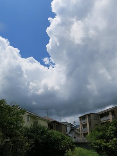 e0130185_2218548.jpg