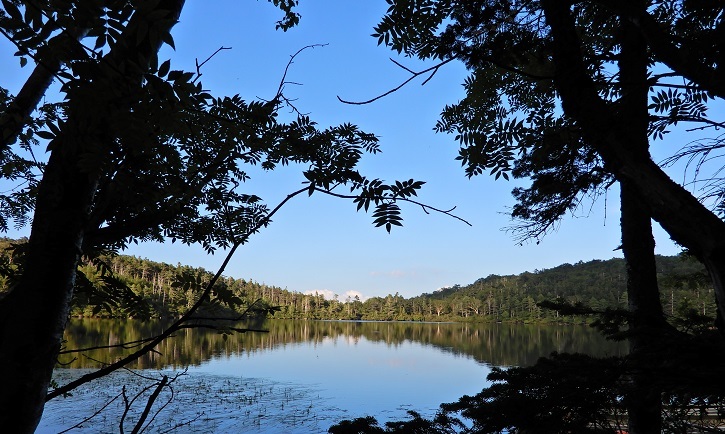 夏のひと時^^_a0211886_17001184.jpg