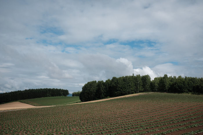 b0339488_20240363.jpg
