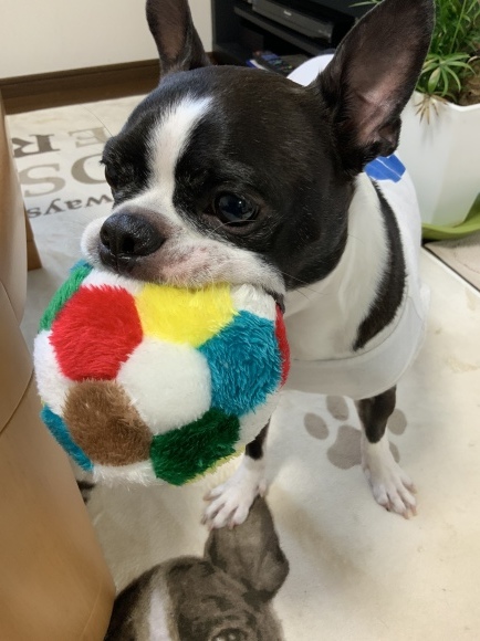 c0242791_13474056.jpeg