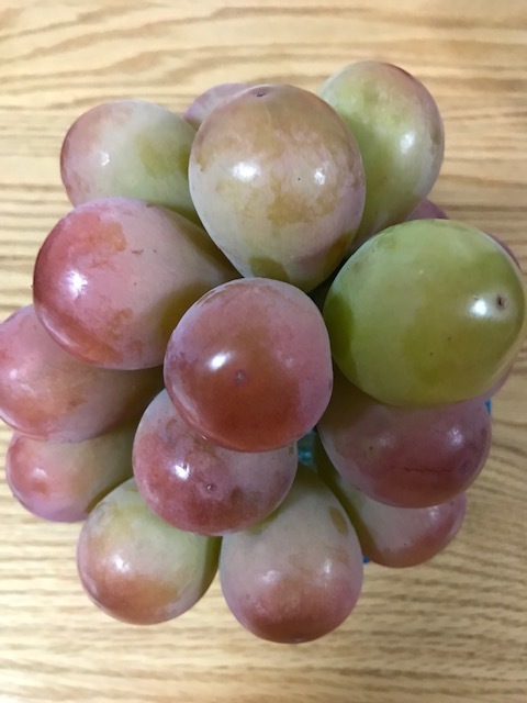 お土産_f0204295_14462228.jpg