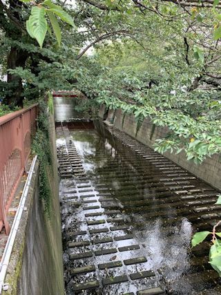 c0090198_20232875.jpg