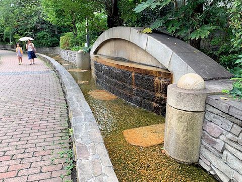 c0090198_20262520.jpg