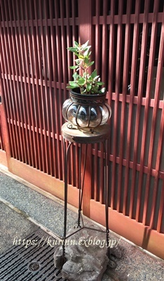 a0123003_15374990.jpg